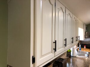 Read more about the article Painted Cabinets vs.  Replacement Cabinet Doors: Is Door Replacement Right For Me?