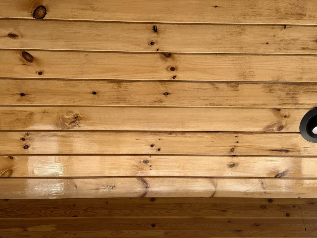 Professional Painting