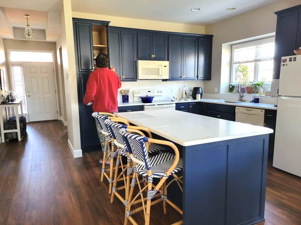 Cabinets Only, Just Add Paint