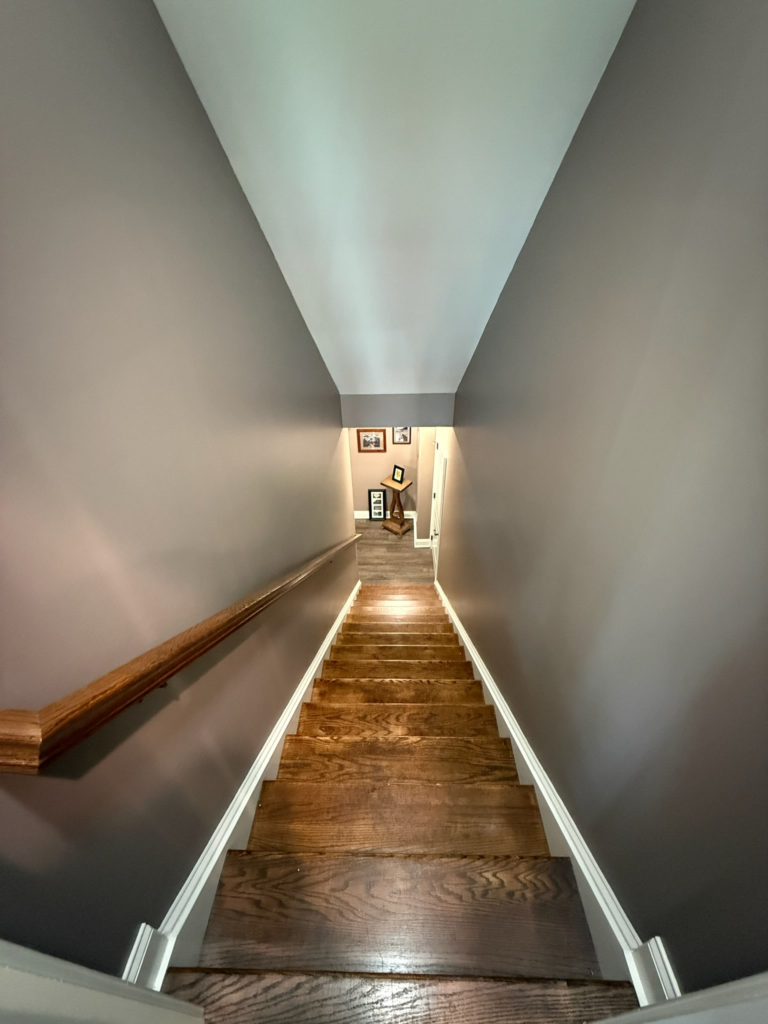 Interior painting ideas