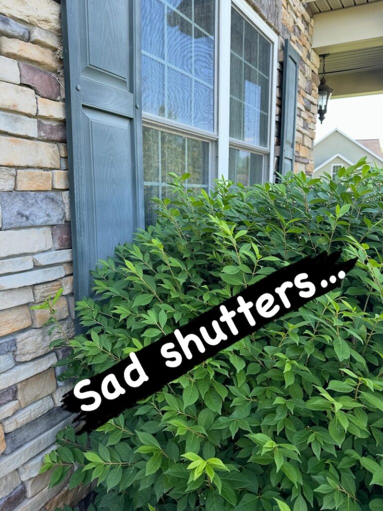 Shutter painting
