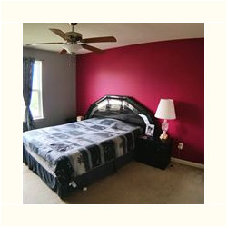 House Painting Ideas