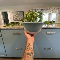 Just Add Paint, cabinets only